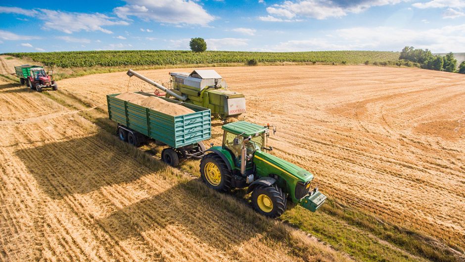 Combine Harvester Pouring Grain into Trailer Towed by Tractor