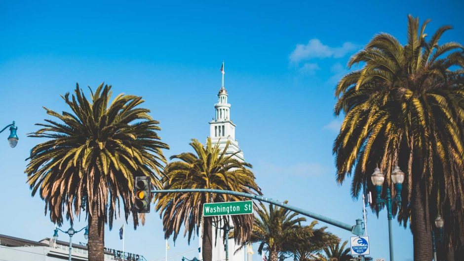Washington Street Palms in San Francisco