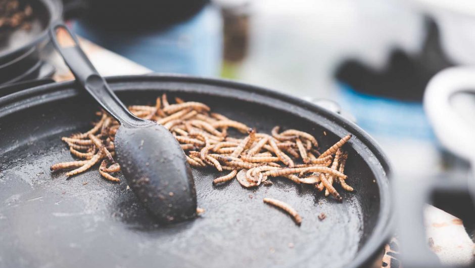 Fried Caterpillars Traditional Exotic Asian Food